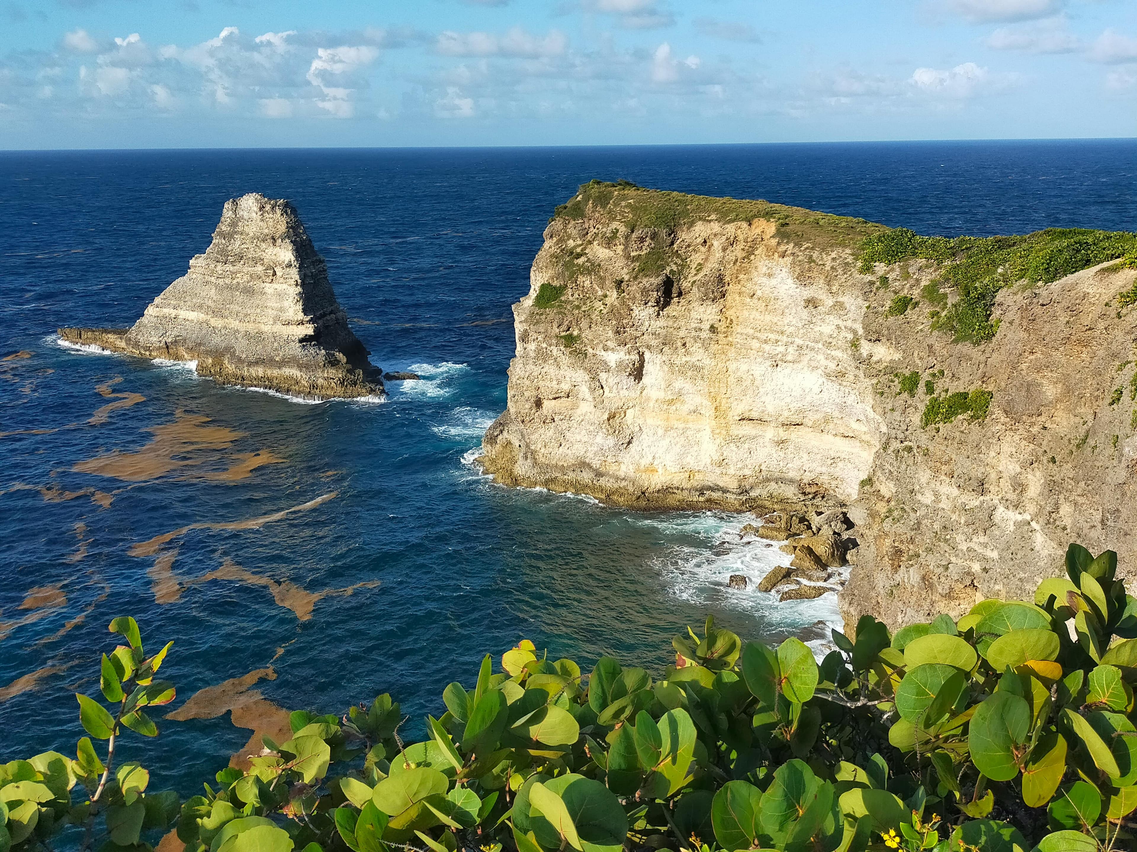 Plongée en Guadeloupe